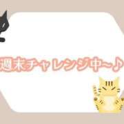 ヒメ日記 2025/06/13 18:06 投稿 つばき 吉原ファーストレディ