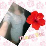 ヒメ日記 2025/06/14 18:17 投稿 つばき 吉原ファーストレディ