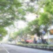 ヒメ日記 2025/06/16 12:07 投稿 つばき 吉原ファーストレディ