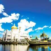 ヒメ日記 2025/06/17 12:08 投稿 つばき 吉原ファーストレディ