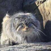 ヒメ日記 2025/06/17 22:07 投稿 つばき 吉原ファーストレディ