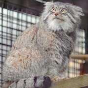 ヒメ日記 2025/06/18 07:16 投稿 つばき 吉原ファーストレディ