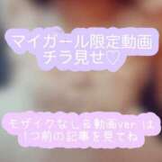 ヒメ日記 2025/06/18 22:20 投稿 つばき 吉原ファーストレディ