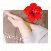 ヒメ日記 2025/06/22 19:16 投稿 つばき 吉原ファーストレディ