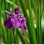 ヒメ日記 2025/06/24 20:08 投稿 つばき 吉原ファーストレディ