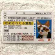 ヒメ日記 2025/06/26 18:18 投稿 つばき 吉原ファーストレディ