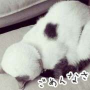 ヒメ日記 2025/06/28 18:48 投稿 つばき 吉原ファーストレディ