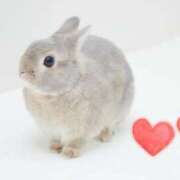 ヒメ日記 2025/07/05 18:16 投稿 つばき 吉原ファーストレディ