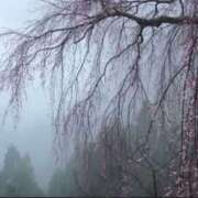 ヒメ日記 2025/07/13 07:10 投稿 つばき 吉原ファーストレディ