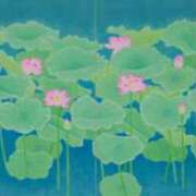 ヒメ日記 2025/07/14 12:09 投稿 つばき 吉原ファーストレディ