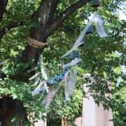 ヒメ日記 2025/07/29 07:13 投稿 つばき 吉原ファーストレディ