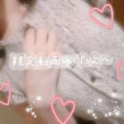 ヒメ日記 2025/08/17 21:56 投稿 つばき 吉原ファーストレディ