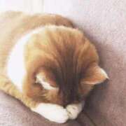 ヒメ日記 2025/09/17 22:36 投稿 つばき 吉原ファーストレディ