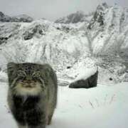 ヒメ日記 2025/10/05 12:07 投稿 つばき 吉原ファーストレディ