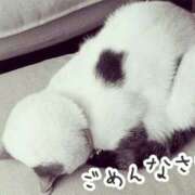 ヒメ日記 2025/11/01 09:17 投稿 つばき 吉原ファーストレディ