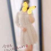 ヒメ日記 2025/11/15 07:16 投稿 つばき 吉原ファーストレディ