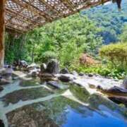 ヒメ日記 2025/11/20 07:16 投稿 つばき 吉原ファーストレディ