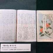 ヒメ日記 2025/11/23 12:06 投稿 つばき 吉原ファーストレディ