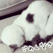 ヒメ日記 2025/12/10 14:07 投稿 つばき 吉原ファーストレディ