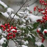 ヒメ日記 2026/02/18 20:16 投稿 つばき 吉原ファーストレディ