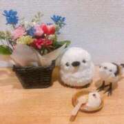 ヒメ日記 2026/03/29 23:16 投稿 つばき 吉原ファーストレディ