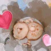 ヒメ日記 2026/04/01 20:16 投稿 つばき 吉原ファーストレディ