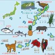 ヒメ日記 2026/04/04 18:17 投稿 つばき 吉原ファーストレディ