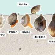 ヒメ日記 2026/04/30 18:06 投稿 つばき 吉原ファーストレディ