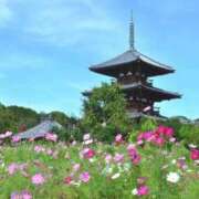 ヒメ日記 2026/05/30 18:06 投稿 つばき 吉原ファーストレディ