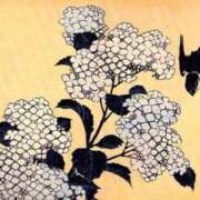 ヒメ日記 2026/07/06 12:06 投稿 つばき 吉原ファーストレディ