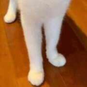 ヒメ日記 2026/09/11 18:13 投稿 つばき 吉原ファーストレディ