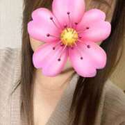 ヒメ日記 2025/04/03 12:41 投稿 福本実咲(ふくもとみさき) 姫路マダム大奥