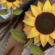 ヒメ日記 2025/04/09 18:51 投稿 福本実咲(ふくもとみさき) 姫路マダム大奥