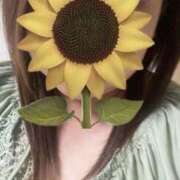 ヒメ日記 2025/04/17 09:51 投稿 福本実咲(ふくもとみさき) 姫路マダム大奥