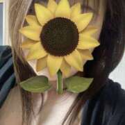 ヒメ日記 2025/05/04 00:06 投稿 福本実咲(ふくもとみさき) 姫路マダム大奥