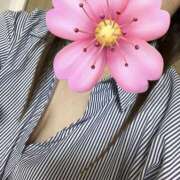 ヒメ日記 2025/05/10 06:41 投稿 福本実咲(ふくもとみさき) 姫路マダム大奥