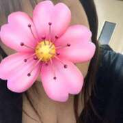 ヒメ日記 2025/05/11 10:21 投稿 福本実咲(ふくもとみさき) 姫路マダム大奥