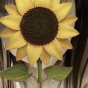 ヒメ日記 2025/05/14 23:41 投稿 福本実咲(ふくもとみさき) 姫路マダム大奥