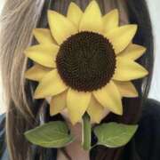 ヒメ日記 2025/05/21 14:31 投稿 福本実咲(ふくもとみさき) 姫路マダム大奥