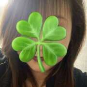 ヒメ日記 2025/06/07 10:06 投稿 福本実咲(ふくもとみさき) 姫路マダム大奥