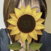 ヒメ日記 2025/06/13 02:05 投稿 福本実咲(ふくもとみさき) 姫路マダム大奥