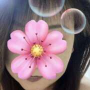 ヒメ日記 2025/06/21 05:52 投稿 福本実咲(ふくもとみさき) 姫路マダム大奥