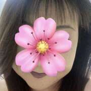 ヒメ日記 2025/06/28 11:32 投稿 福本実咲(ふくもとみさき) 姫路マダム大奥