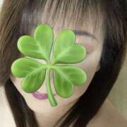 ヒメ日記 2025/06/29 05:52 投稿 福本実咲(ふくもとみさき) 姫路マダム大奥