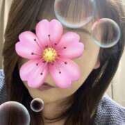 ヒメ日記 2025/07/26 20:25 投稿 福本実咲(ふくもとみさき) 姫路マダム大奥