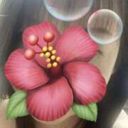 ヒメ日記 2025/07/29 07:52 投稿 福本実咲(ふくもとみさき) 姫路マダム大奥