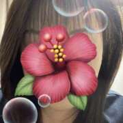 ヒメ日記 2025/08/16 11:02 投稿 福本実咲(ふくもとみさき) 姫路マダム大奥