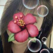 ヒメ日記 2025/08/23 20:02 投稿 福本実咲(ふくもとみさき) 姫路マダム大奥