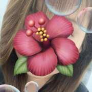 ヒメ日記 2025/08/23 20:52 投稿 福本実咲(ふくもとみさき) 姫路マダム大奥