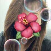 ヒメ日記 2025/09/02 05:22 投稿 福本実咲(ふくもとみさき) 姫路マダム大奥